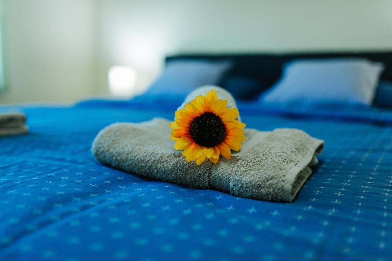 Sunflower Zombor Kültér fotó